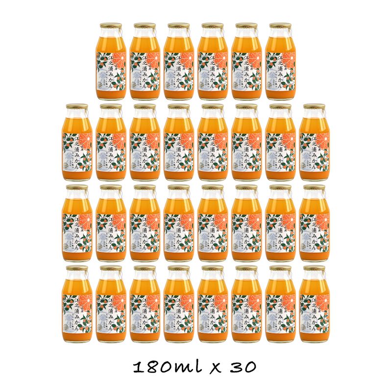 【ふるさと納税】【定期便 12回 】小田原産江之浦みかん１００％ストレートジュース１８０ml３０本 | みかんジュース 神奈川県 小田原市