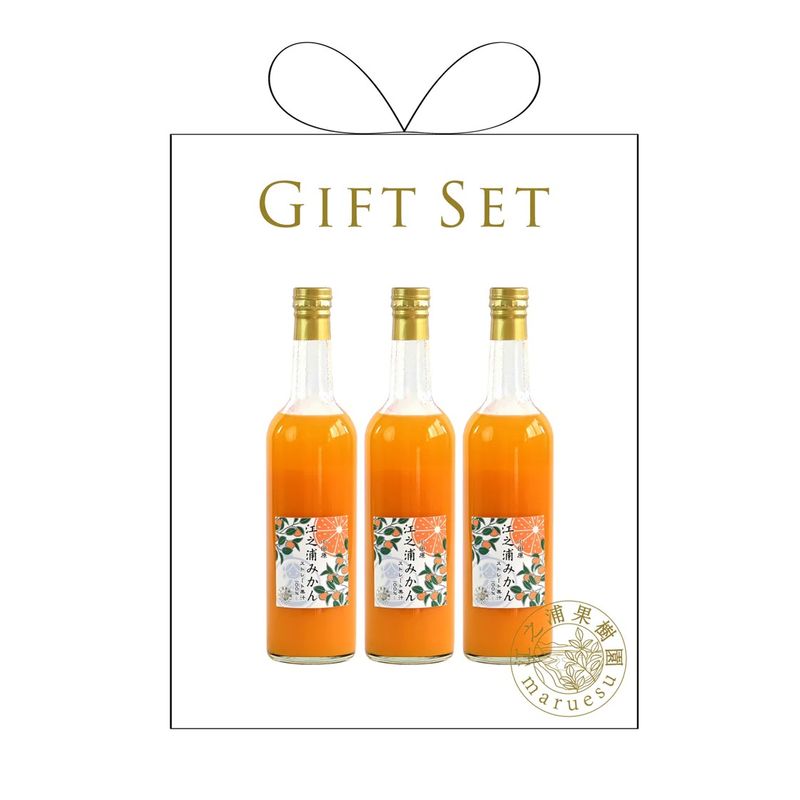 【ふるさと納税】ギフトセット５００ml３本入り 小田原産江之浦みかん１００％ストレートジュース５００ml３本｜飲料 ストレートジュース 人気 おすすめ 果汁飲料 フルーツドリンク ギフト 詰め合わせ 送料無料 神奈川県 小田原市 | みかんジュース 神奈川県 小田原市｜神奈川県小田原市
