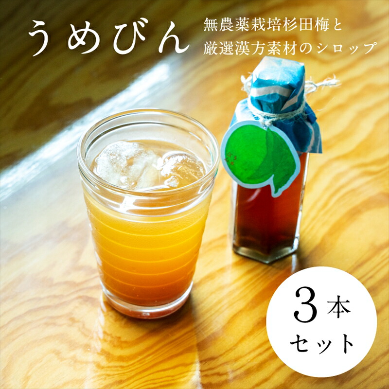 【ふるさと納税】【3本セット】濃厚梅エキスと漢方のシロップ「うめびん(杉田梅) by Kampo Kitchen」【 家庭用 自宅用 贈答品 贈答用 ギフト お取り寄せ お中元 お歳暮 贈り物 お祝い 神奈川県 小田原市 】