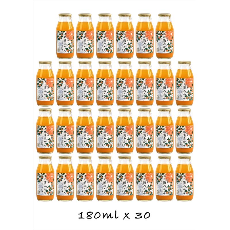 【ふるさと納税】【定期便 （2カ月ごと全3回）】小田原産江之浦みかん１００％ストレートジュース１８０ml３０本