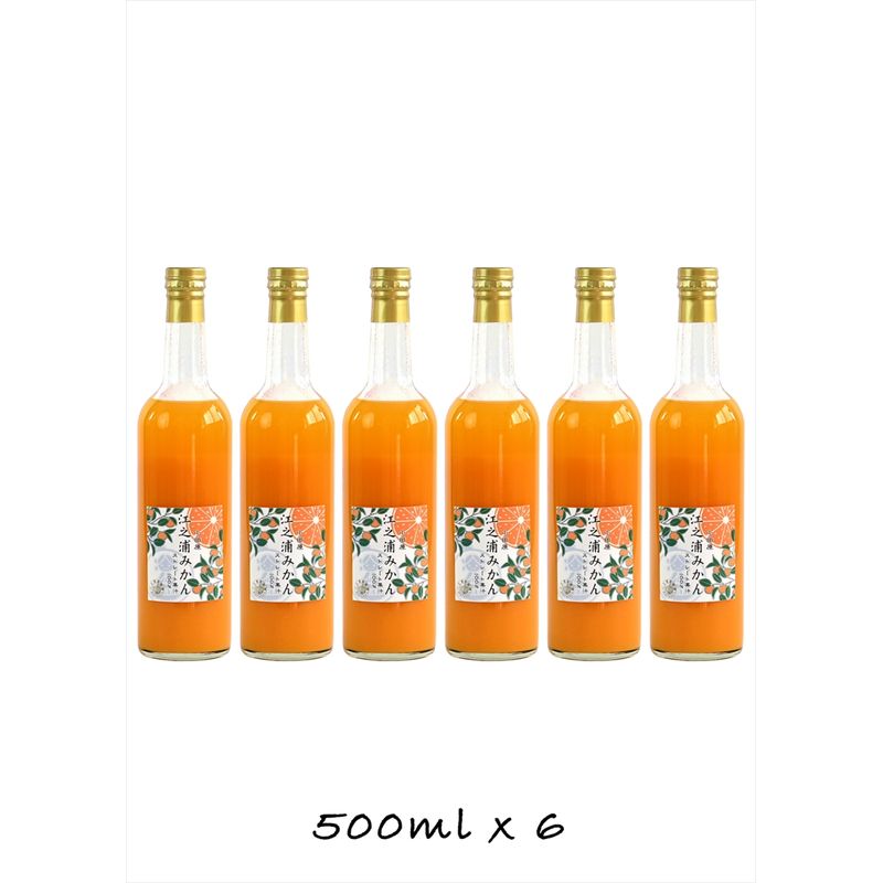 【ふるさと納税】【定期便 (2カ月ごと全6回)】小田原産江之浦みかん100%ストレートジュース500ml6本|飲料 ストレートジュース 人気 おすすめ 果汁飲料 フルーツドリンク ギフト 定期便 詰め合わせ 送料無料 神奈川県 小田原市|神奈川県小田原市