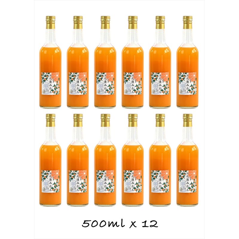 【ふるさと納税】【定期便 6回】小田原産江之浦みかん100%ストレートジュース500ml12本