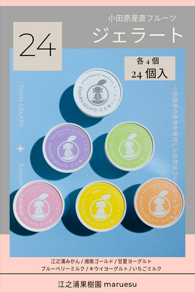 【ふるさと納税】小田原産江之浦ジェラート６種（みかん、湘南ゴールド、ブルーベリーミルク、いちごミルク、キウイヨーグルト、甘夏ヨーグルト）120mlカップ各４個合計２４個｜神奈川県小田原市