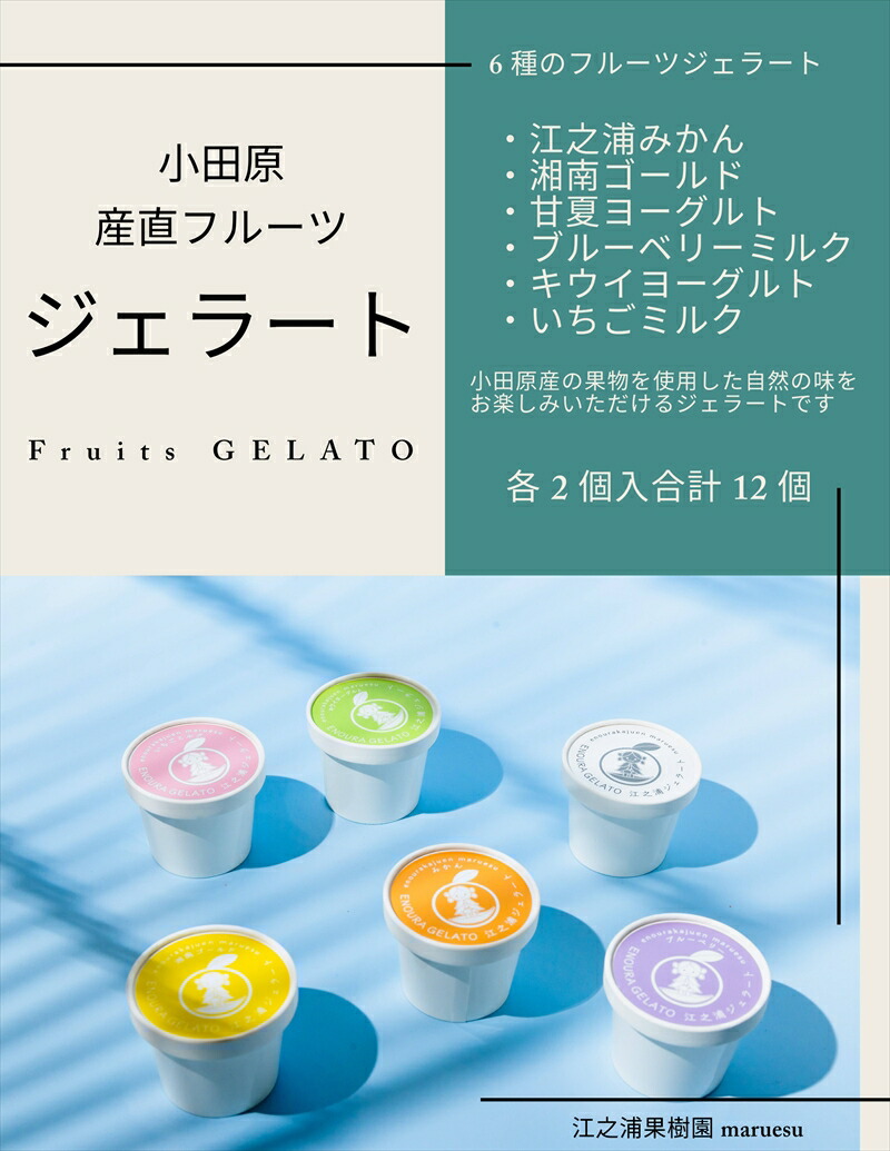 【ふるさと納税】【定期便(2カ月ごと全3回)】小田原産江之浦ジェラート6種(みかん、湘南ゴールド、ブルーベリーミルク、いちごミルク、キウイヨーグルト、甘夏ヨーグルト)120mlカップ各2個合計12個|神奈川県小田原市