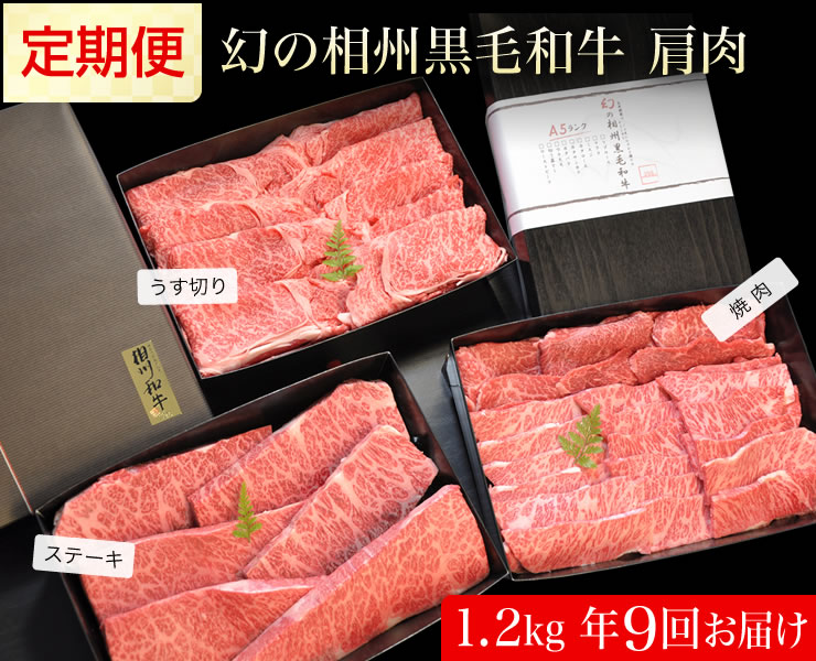 最新人気 楽天市場 ふるさと納税 牛肉 定期便 9回 幻の相州黒毛和牛肩肉 1 2kg 9回 計10 8kg 相州牛 相州和牛 神奈川県 小田原市 神奈川県小田原市 数量は多 Blog Belasartes Br