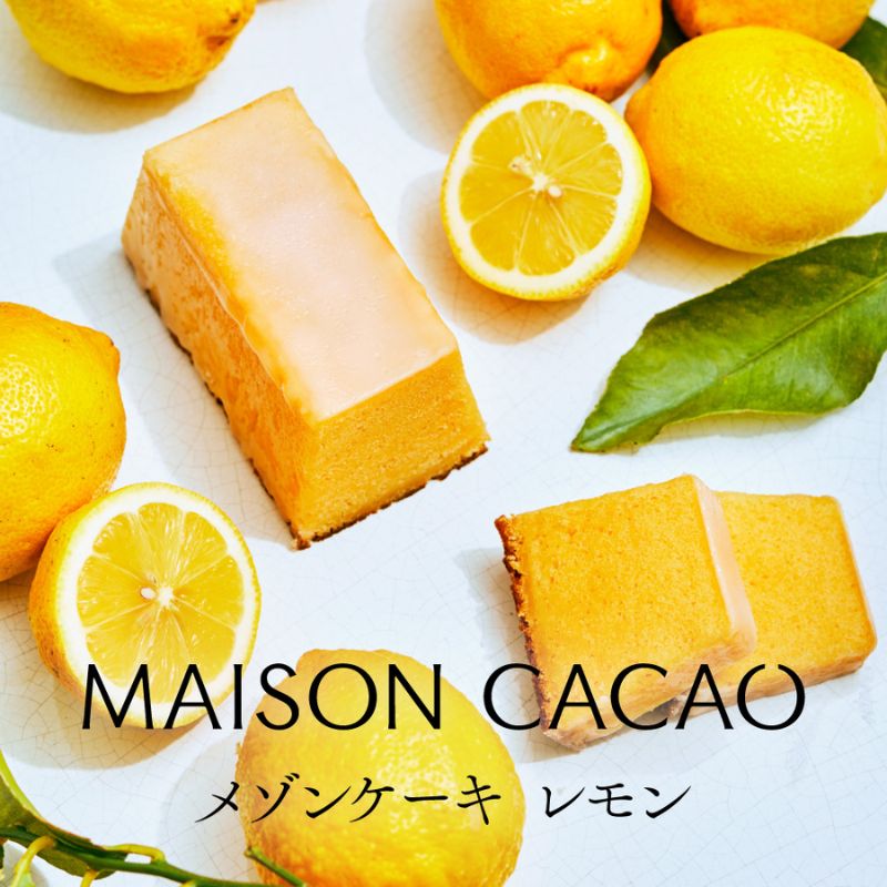 【ふるさと納税】メゾンカカオ 夏季限定 MAISON CAKE レモン 1個 数量限定 冷凍配送 神奈川県茅ヶ崎市|神奈川県茅ヶ崎市