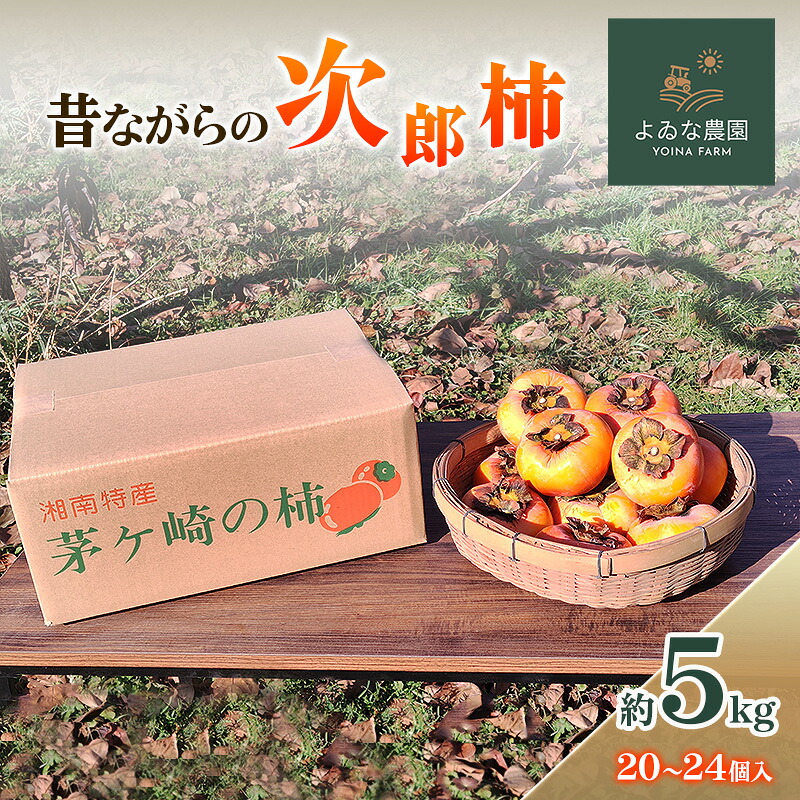 【ふるさと納税】茅ヶ崎市 昔ながらの次郎柿 約5kg (20～24個入り) よゐな農園 柿 かき カキ 次郎柿 果物 くだもの フルーツ 神奈川県 茅ヶ崎市　お届け：2026年11月中旬～12月上旬