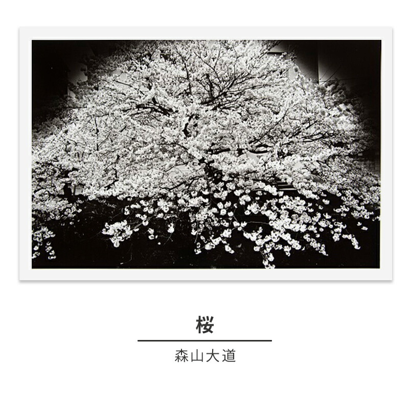 楽天市場】【ふるさと納税】zushi art gallery森山大道写真作品「芍薬