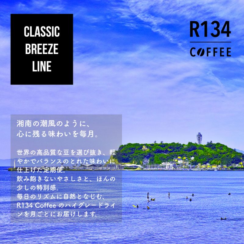 【ふるさと納税】R134 COFFEE / コーヒー / Classic Breeze Line / High / 100g 粉 x 2種 / お試しセット