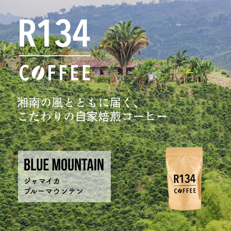 【ふるさと納税】R134 COFFEE －ジャマイカ ブルーマウンテン No.1【自家焙煎 100g x 2袋】