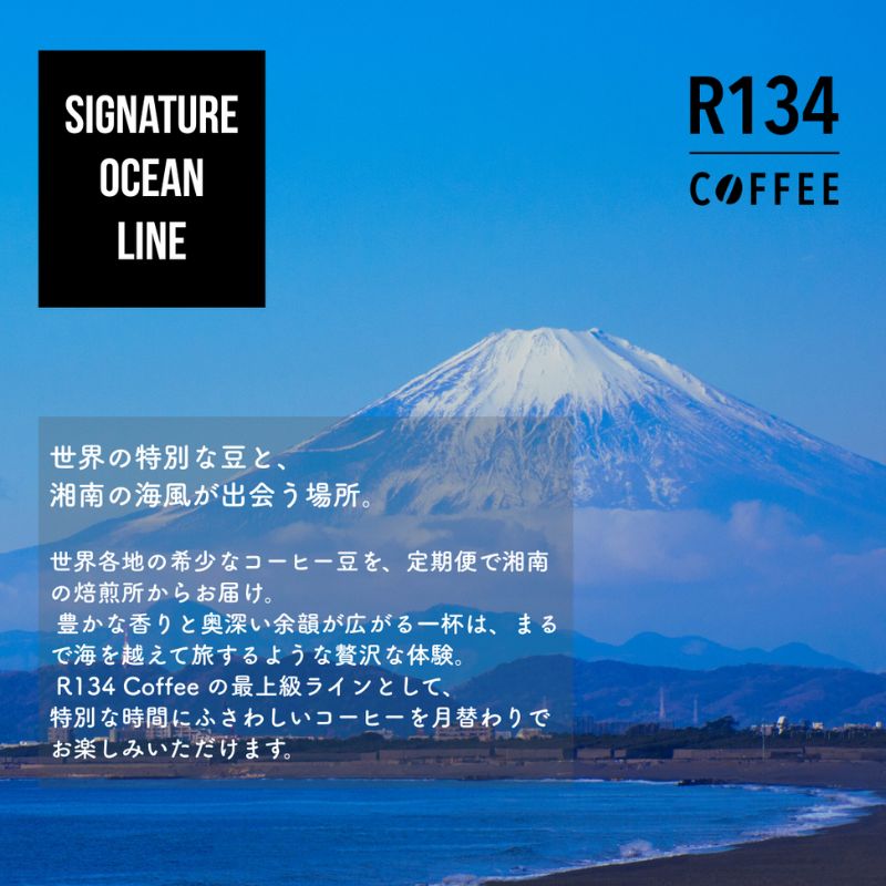 【ふるさと納税】R134 COFFEE / コーヒー / Signature Ocean Line / Exclusive / 100g 豆 x 2種 / 3ヶ月連続定期便