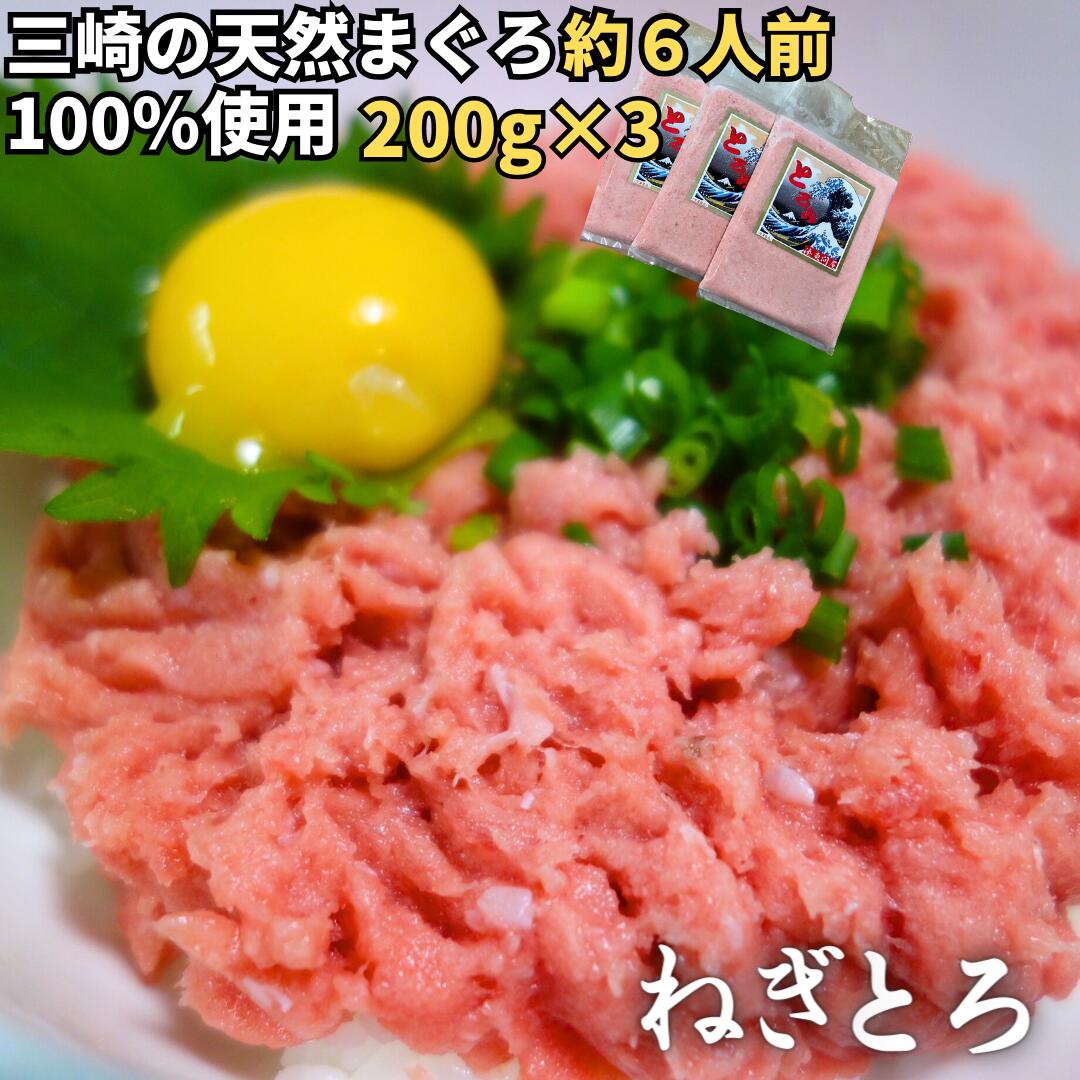 【ふるさと納税】 【防腐剤、着色料不使用】三崎の天然まぐろで作った自家製とろみ（ねぎとろ用）200g×3P（約6人前）