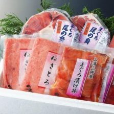 【ふるさと納税】 めばちまぐろづくし 灯（あかり）