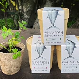 人気特価激安 1 94食彩garden三浦やさい栽培キット 独創的 Www Eh Net Sa