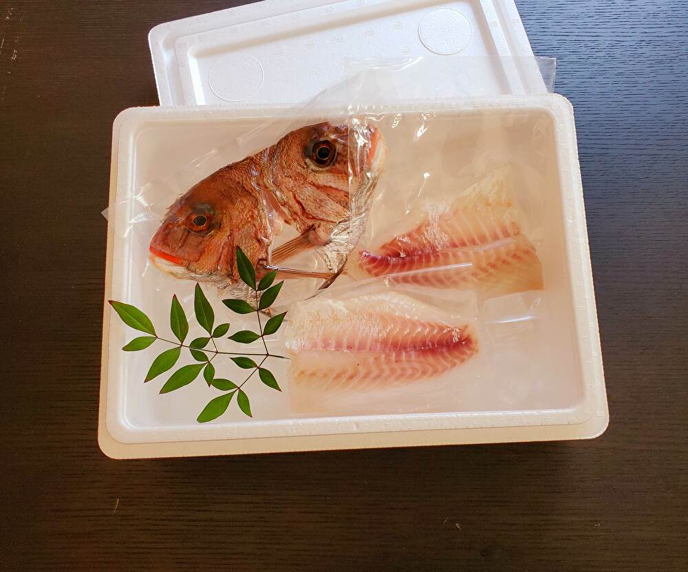 偉大な 1 157 釣った魚プロが調理いたします 魚歳暮 ぎょせいぼ 自宅お持ち帰りプランチケット 即納最大半額 Volfgr Com