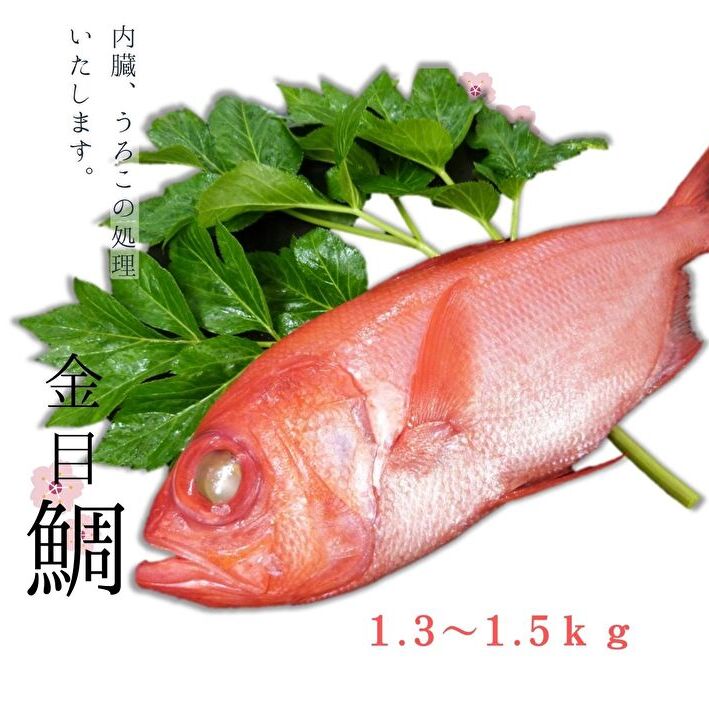 【ふるさと納税】 脂たっぷり！【三崎水揚げ】金目鯛