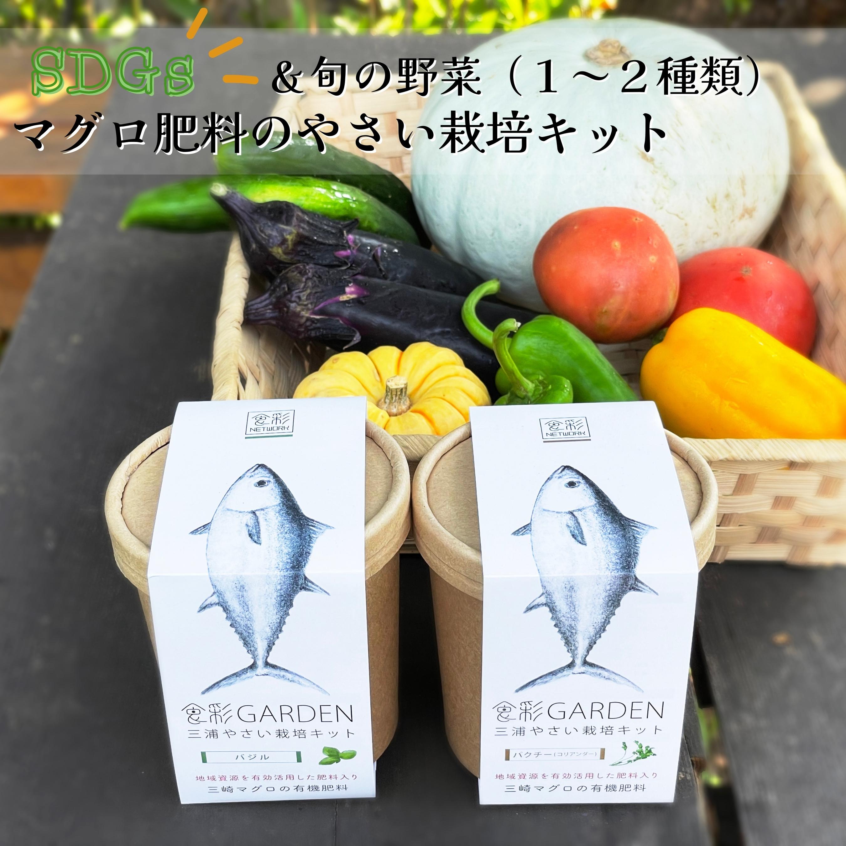三浦市ふるさと納税｜一年度合い2025