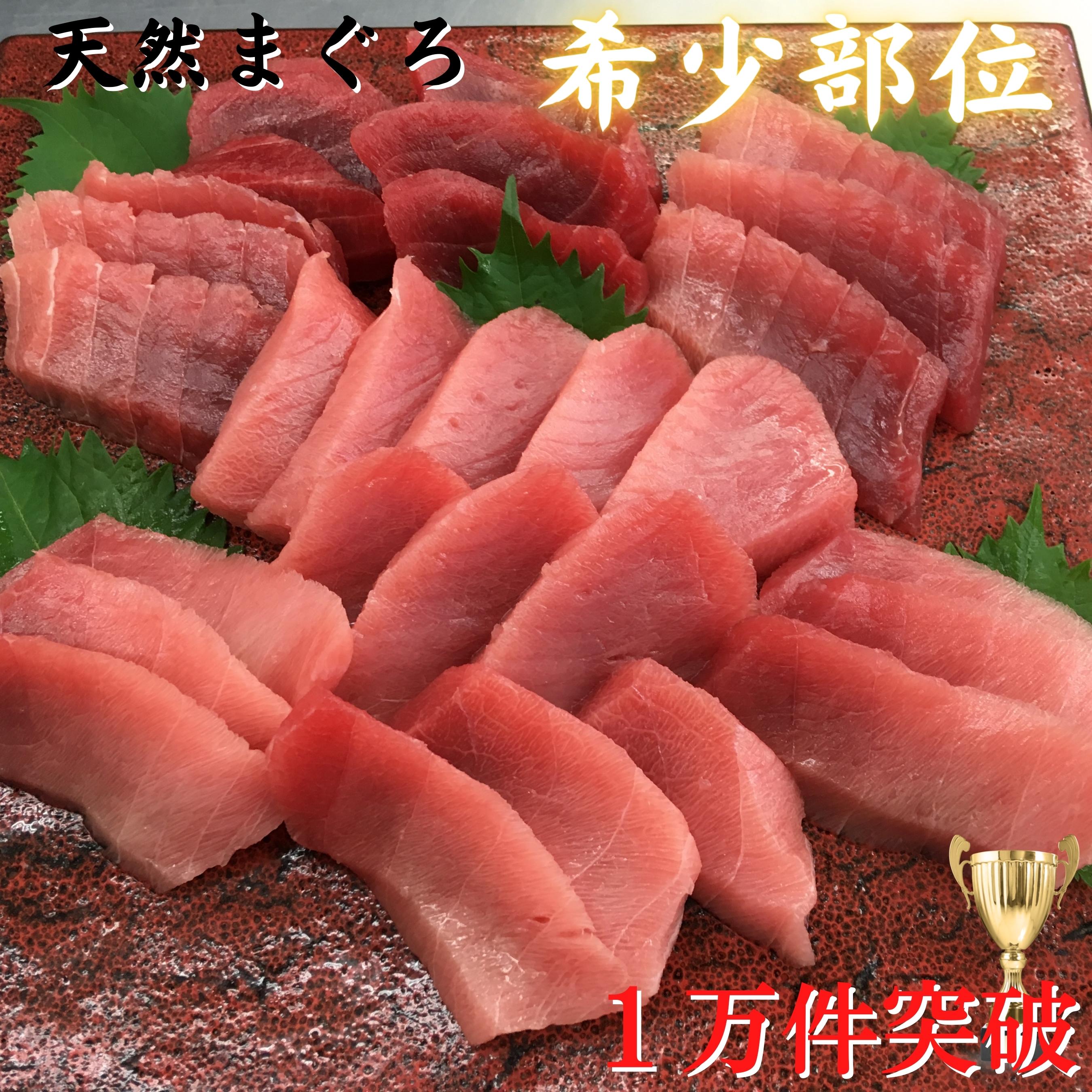 【ふるさと納税】 本物の味をお届け！厳選！天然三崎まぐろ【希少部位】背トロ＆中トロ・赤身