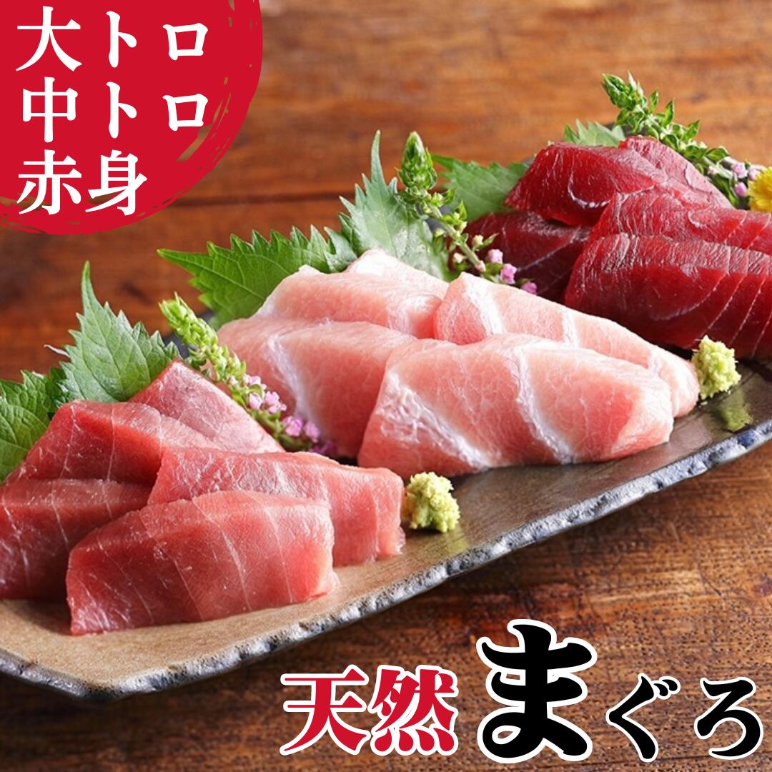 【ふるさと納税】 本物の味をお届け！厳選！天然三崎まぐろ大トロ・中トロ・赤身セット