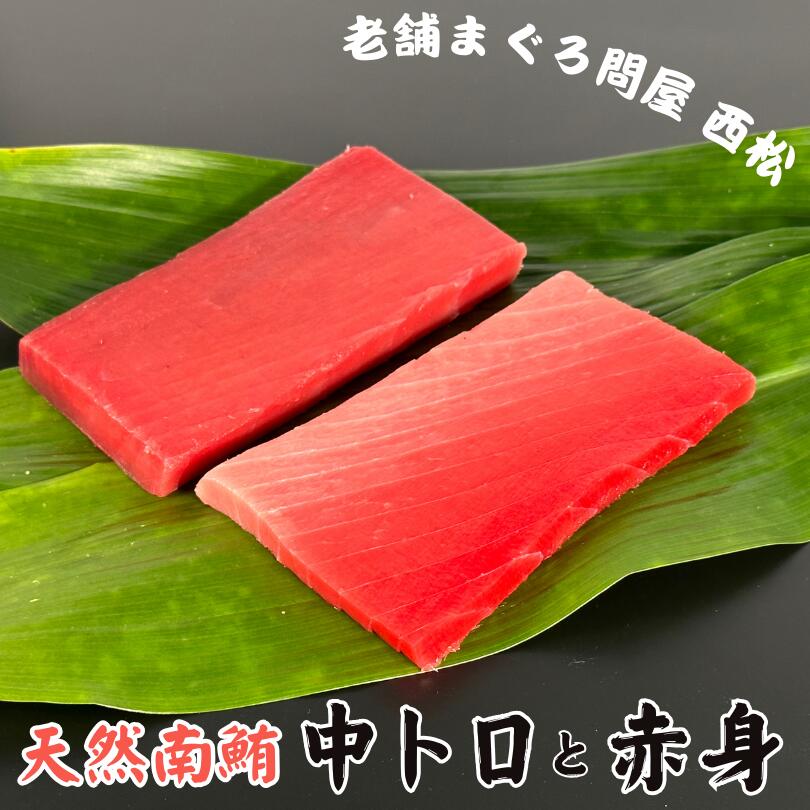 【ふるさと納税】 南鮪 400g 創業以来130年 三崎港 老舗問屋 西松 厳選 まぐろ マグロ 鮪 赤身 中トロ 南まぐろ インドまぐろ 問屋直送 刺身 ブロック 魚 魚介 詰合せ 詰め合わせ セット ボリューム 三崎まぐろ 冷凍 神奈川県 三浦市 おすすめ ランキング プレゼント ギフト|神奈川県三浦市