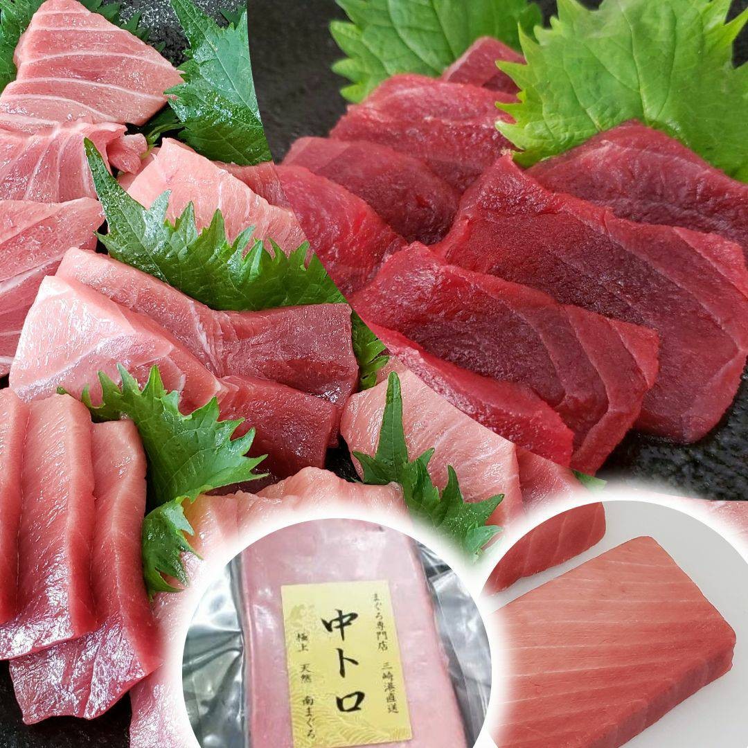 【ふるさと納税】 三崎港直送 天然三崎まぐろ詰め合わせ