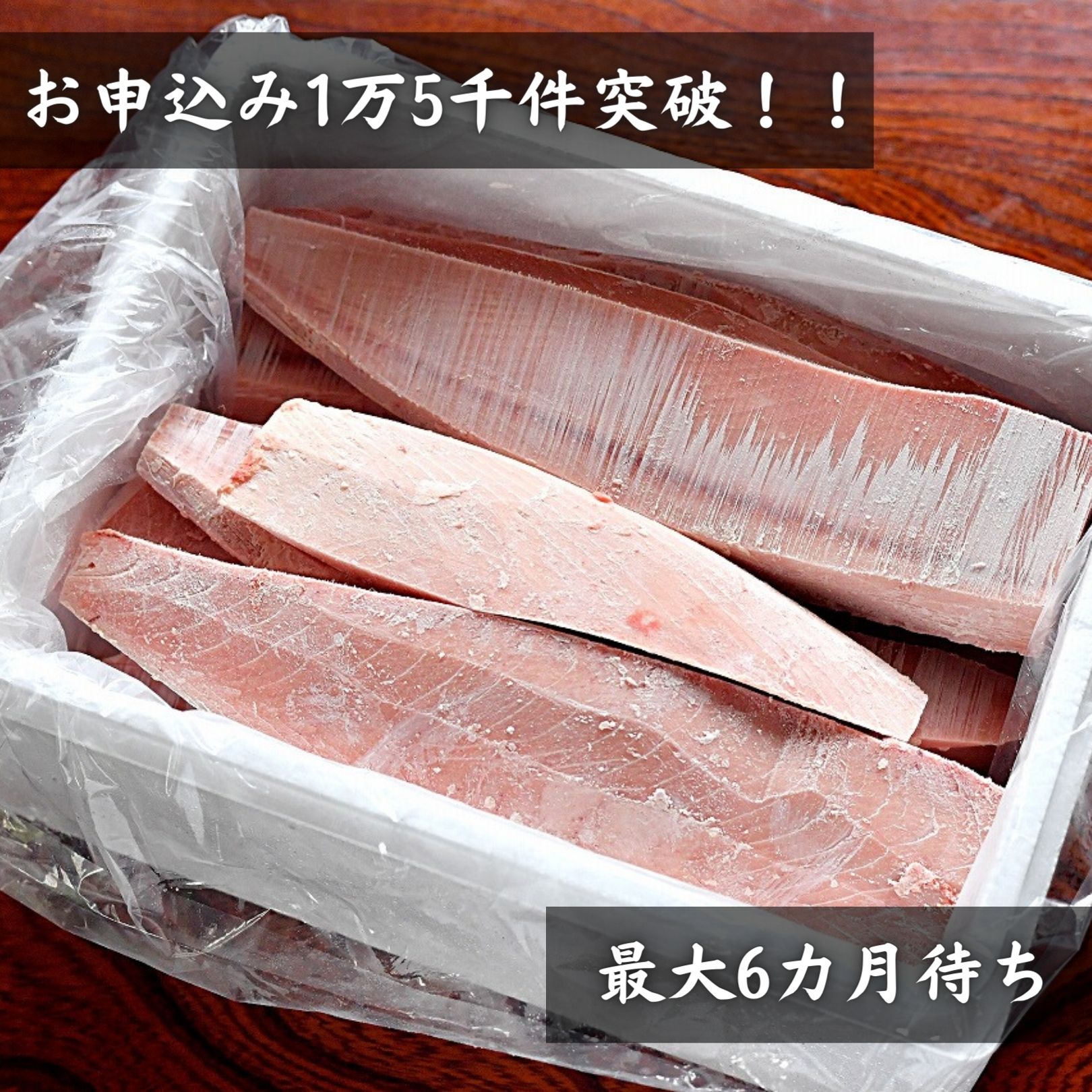 品質が ふるさと納税 A24-005 神奈川県漁連 天然マグロ 2ｋｇ不揃い
