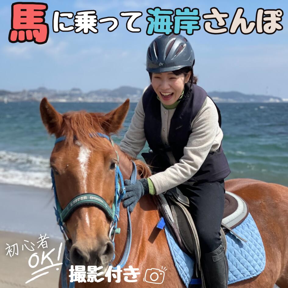 ふるさと納税 福島県 南相馬市 初心者向け　馬と仲良くなれるミニ講習＆乗馬体験コース（60分程度） ふるさと納税 福島県 南相馬市 初心者向け 馬と仲良くなれるミニ講習＆
