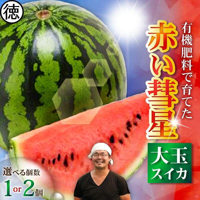 【ふるさと納税】＜選べる＞ 有機肥料で育てた 大玉 スイカ 赤い彗星 1個 or 2個 すいか 西瓜 フルーツ 果物 果実 ジューシー 甘い 夏季 数量 期間 限定 おいしい デザート みずみずしい 国産 旬の果物 贈答 丸徳農産 神奈川 三浦市 おすすめ ランキング プレゼント ギフト