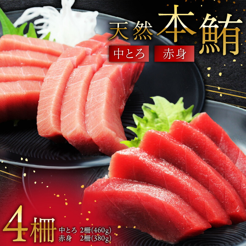 楽天市場】【ふるさと納税】 三崎マグロ 鈴木水産 天然本マグロ 大トロ