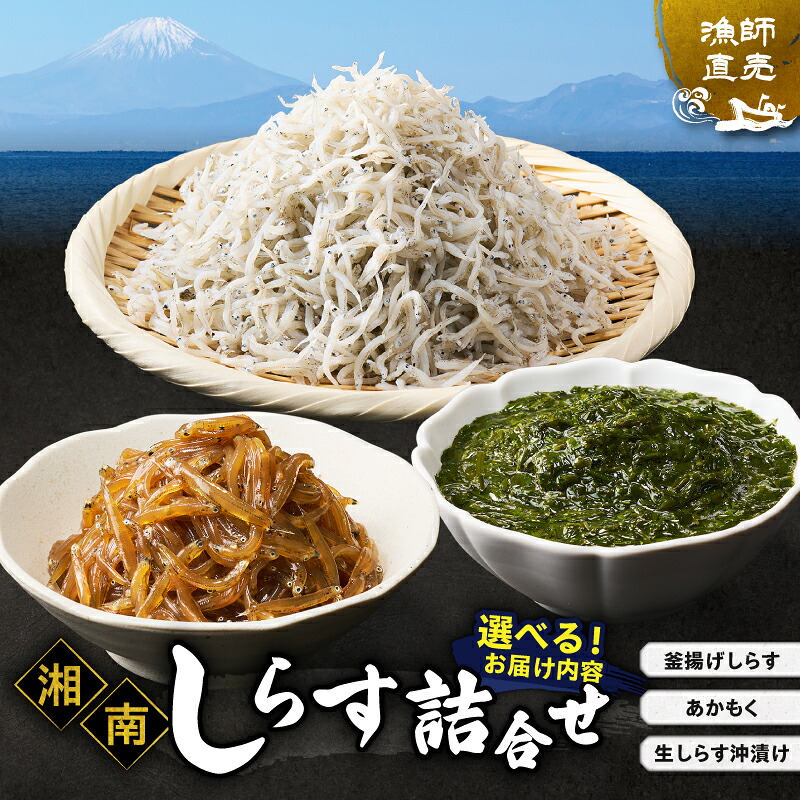 【ふるさと納税】＜選べるお届け内容＞ しらす漁師直売 湘南しらす 詰合せ セット 計510g～ しらす 生しらす 釜揚げしらす あかもく 沖漬け 湘南しらす しらす丼 魚 魚介 ふんわり食感 冷凍 君栄丸 君栄 神奈川県 三浦市 おすすめ ランキング プレゼント ギフト｜神奈川県三浦市