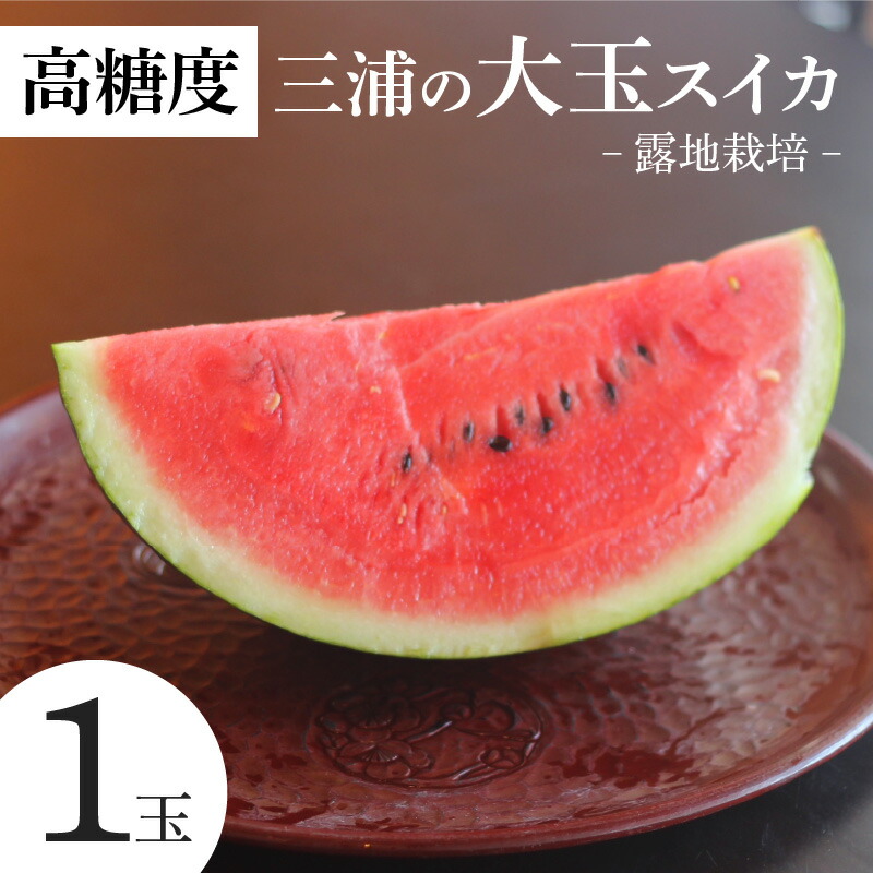 【ふるさと納税】 高糖度 三浦の 大玉スイカ 1玉 露地栽培 スイカ 大玉 甘い 甘味 果物 フルーツ 西瓜 夏季 期間限定 限定 おいしい 角田農園 ふるさと納税 神奈川 三浦市 おすすめ ランキング プレゼント ギフト