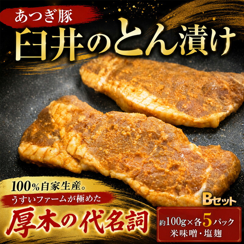 【ふるさと納税】 豚 豚肉 味噌漬け 約 100g × 5パック ロース 豚ロース 厚切り 豚肉 塩麹 米味噌 名産 特産 お土産 とん漬け あつぎ豚 自家生産 臼井のとん漬け Bセット かながわ名産100選 神奈川県 厚木市 株式会社うすいファーム|神奈川県厚木市