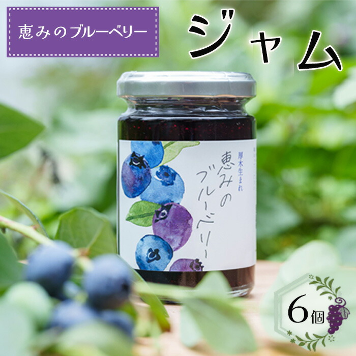 【ふるさと納税】ブルーベリージャム「恵みのブルーベリー」6個 ／ 果物 フルーツ 無添加 無着色 ブルーベリー 果物加工品 デザート用 パン用 ヨーグルト用 料理用 ジャム 厚木市
