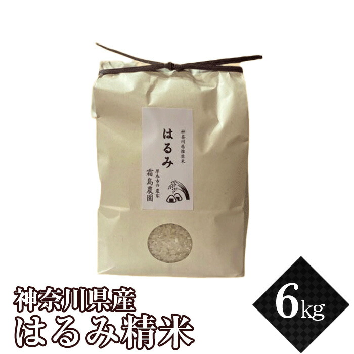 楽天市場】【ふるさと納税】厚木産はるみ精米 4.5kg ／ お米 ブランド米 特A 送料無料 神奈川県 : 神奈川県厚木市