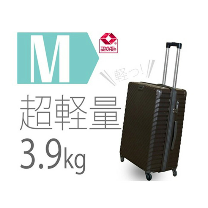 【ふるさと納税】TOMAX点火装置持ちはこび中型黒いこと 3.9kg ／ 中型持ちはこび 旅する旅行バッグ 4輪キャスター TSA鍵を掛ける 大静電容量納める 身寄り旅する向け 周遊グッズ 隠し付き添い人 出張旅する兼用 軽さ上半身 ロングステイ向け 旅人宿一時滞在旅する用 キャスター御徒面子 厚木市