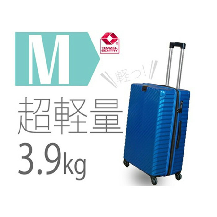 【ふるさと納税】TOMAXライトキャリー中型ブルー 3.9kg ／ 中型キャリー 旅行スーツケース 4輪キャスター TSAロック 大容量収納 家族旅行向け トラベルグッズ ポケット付き 出張旅行兼用 軽量ボディ ロングステイ向け ホテル宿泊旅行用 キャスターバッグ 便利トランク 厚木市