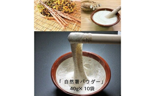 【ふるさと納税】自然薯をおろさなくていいんです！自然薯パウダー 40g×10袋 水で溶いて手軽に召し上がれるフリーズドライの粉末 [0204]