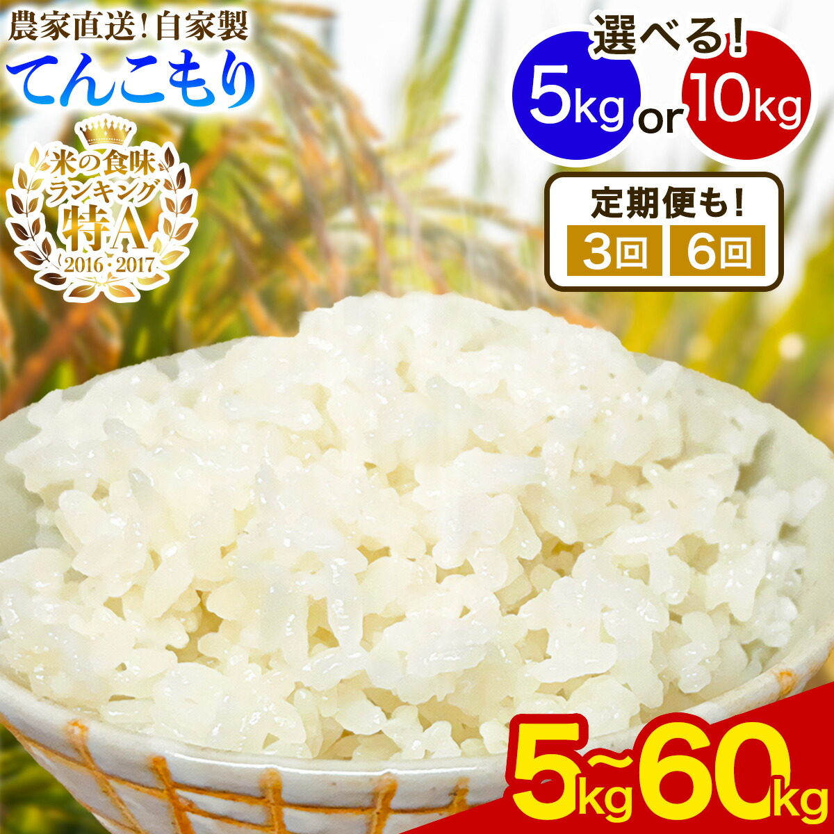 【ふるさと納税】新米 [令和8年産／11月上旬より順次発送] 伊勢原産 精米5kg／10kg [1回配送／定期便 3ヶ月／6ヶ月連続] てんこもり 農家直送！加藤さんちのうんめぇ！自家製米 選べる内容量｜お米 おこめ コメ 白米 神奈川 伊勢原 [1108-1114]｜神奈川県伊勢原市