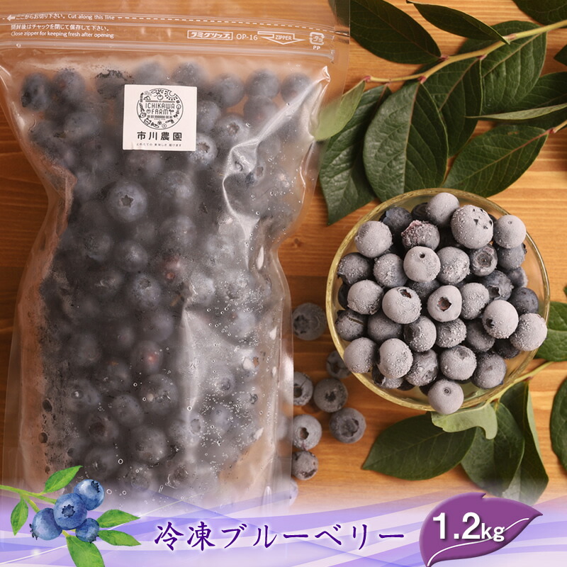 【ふるさと納税】【先行予約】冷凍ブルーベリー1.2kg（600g×2パック）＜出荷開始：2025年8月1日～2025年8月30日＞【北海道・沖縄・離島お届け不可】【 ブルーベリー フルーツ 神奈川県 海老名市 】