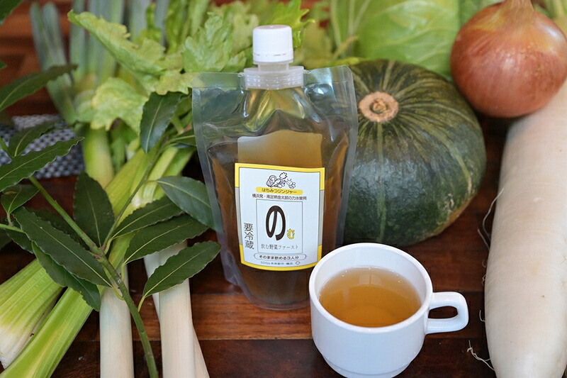 【ふるさと納税】【南足柄市・金太郎の力水使用】飲む野菜ファースト はちみつジンジャー×6本入【 出汁 スープ】【出汁 スープ ギフト プレゼント 贈り物 お返し おいしい まとめ買い 8種 野菜 食品ロス削減 飲む野菜 野菜だし 】|神奈川県南足柄市