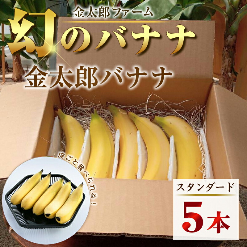 【ふるさと納税】南足柄産国産バナナ スタンダード（栽培期間中農薬不使用）5本セット【ギフト プレゼント 贈り物 お返し おいしい 金太郎バナナ 果物 くだもの フルーツ お歳暮 お中元 神奈川県 南足柄市 】 8,140円