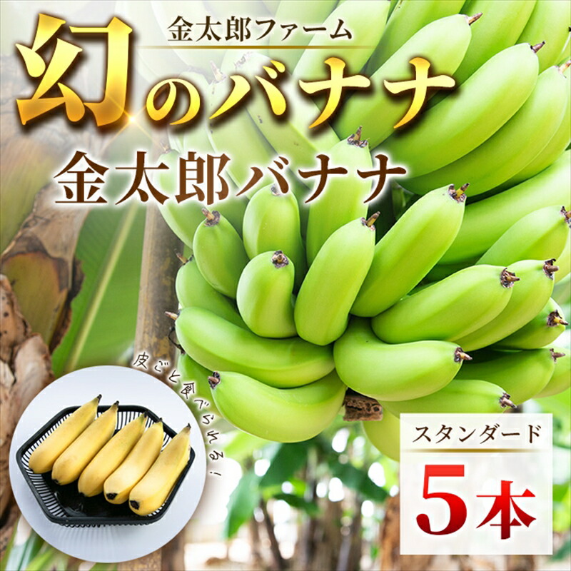 【ふるさと納税】南足柄産国産バナナ スタンダード（栽培期間中農薬不使用）5本セット【ギフト プレゼント 贈り物 お返し おいしい 金太郎バナナ 果物 くだもの フルーツ お歳暮 お中元 神奈川県 南足柄市 】