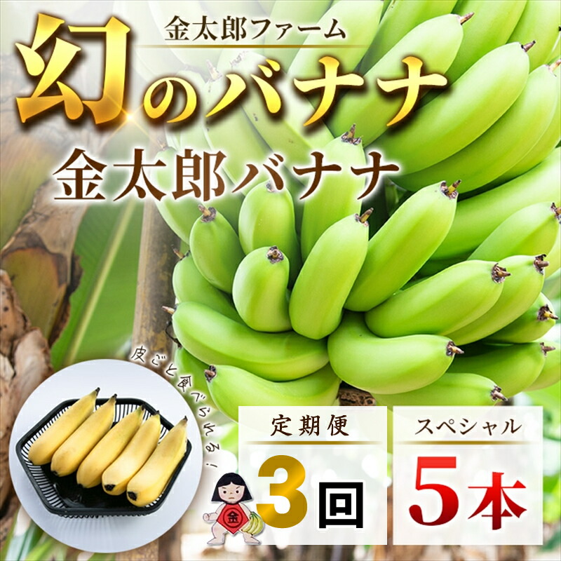 【ふるさと納税】定期便：スペシャル 金太郎バナナ（15本）  5本×3回（毎月お届け） 栽培期間中農薬不使用 【国産 ギフト プレゼント 贈り物 お返し おいしい 金太郎バナナ 果物 くだもの フルーツ お歳暮 お中元 】