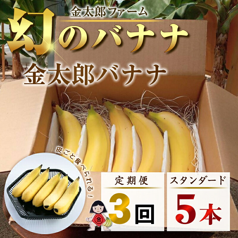 【ふるさと納税】定期便：スタンダード 金太郎バナナ（15本） 5本×3回（毎月お届け） 栽培期間中農薬不使用 【国産 ギフト プレゼント 贈り物 お返し おいしい 金太郎バナナ 果物 くだもの フルーツ お歳暮 お中元 】