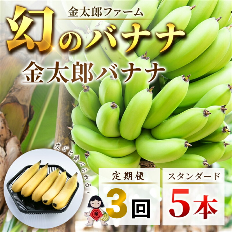 【ふるさと納税】定期便：スタンダード 金太郎バナナ（15本）  5本×3回（毎月お届け） 栽培期間中農薬不使用 【国産 ギフト プレゼント 贈り物 お返し おいしい 金太郎バナナ 果物 くだもの フルーツ お歳暮 お中元 】