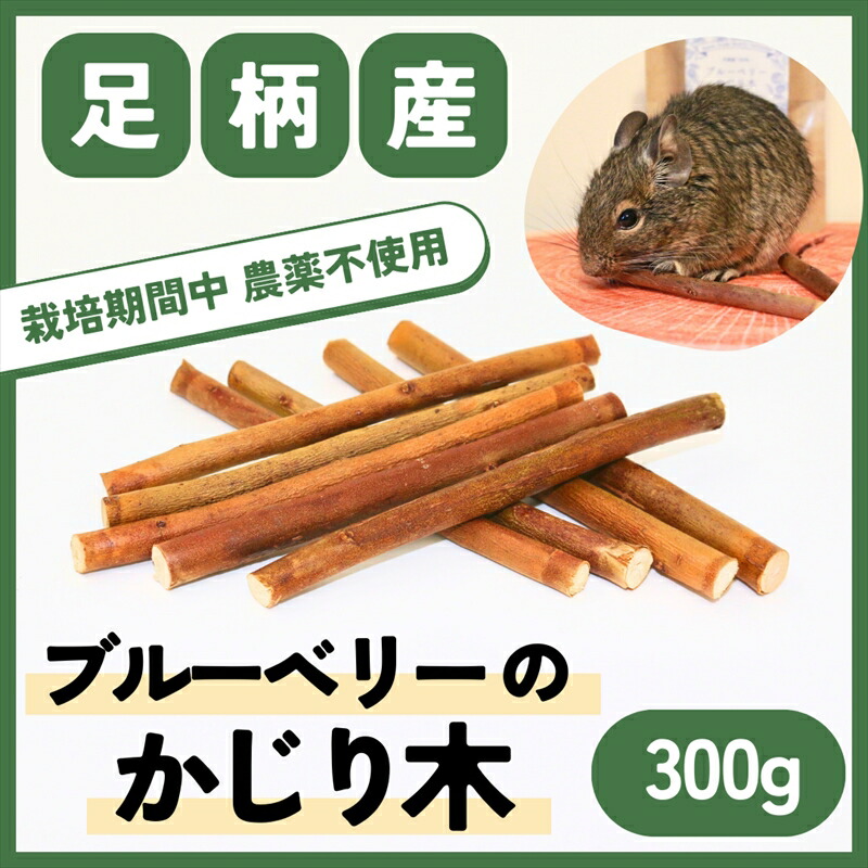 【ふるさと納税】【小毛の荒物愛玩動物に】足柄産ブルーベリーのかじり木300g（お得風呂敷き包み）【 愛玩動物 神奈川県 南足柄市 】