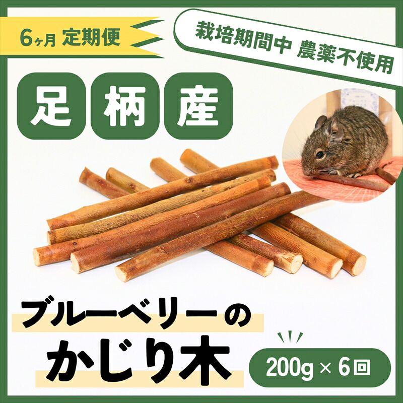 【ふるさと納税】【定期便6ヵ月】足柄産ブルーベリーのかじり木200g×6回＜毎月お届け＞【 愛玩動物 神奈川県 南足柄市 】