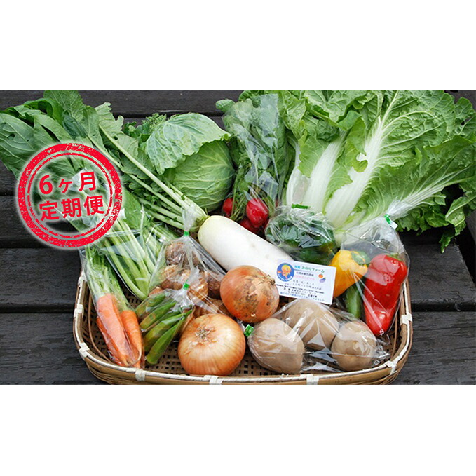 旬の採りたて野菜・果樹セット