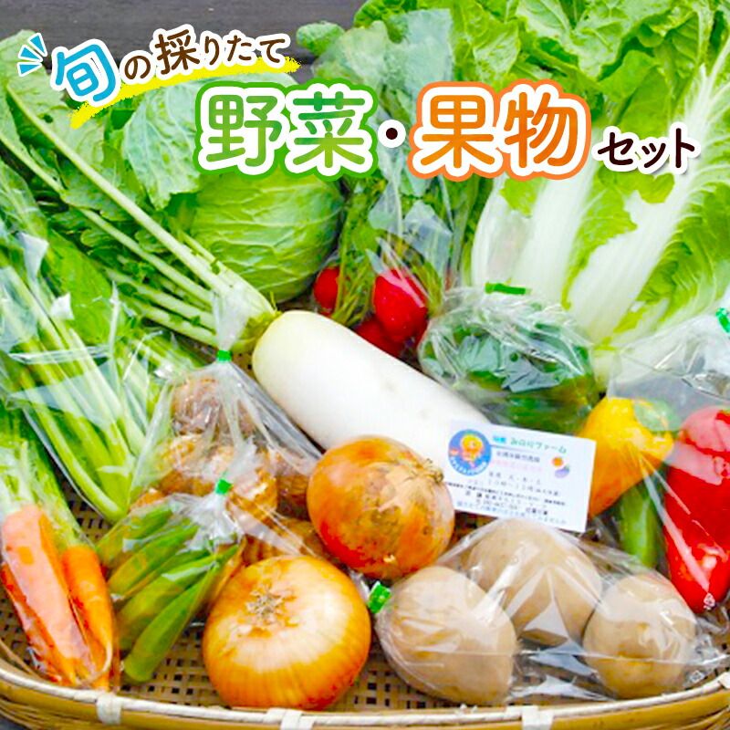 【ふるさと納税】野菜セット 旬の採りたて 野菜 フルーツ 詰め合わせ セット 野菜詰め合わせ フルーツ詰め合わせ フルーツセット 季節の野菜 季節の果物 くだもの 果物 果樹 神奈川
