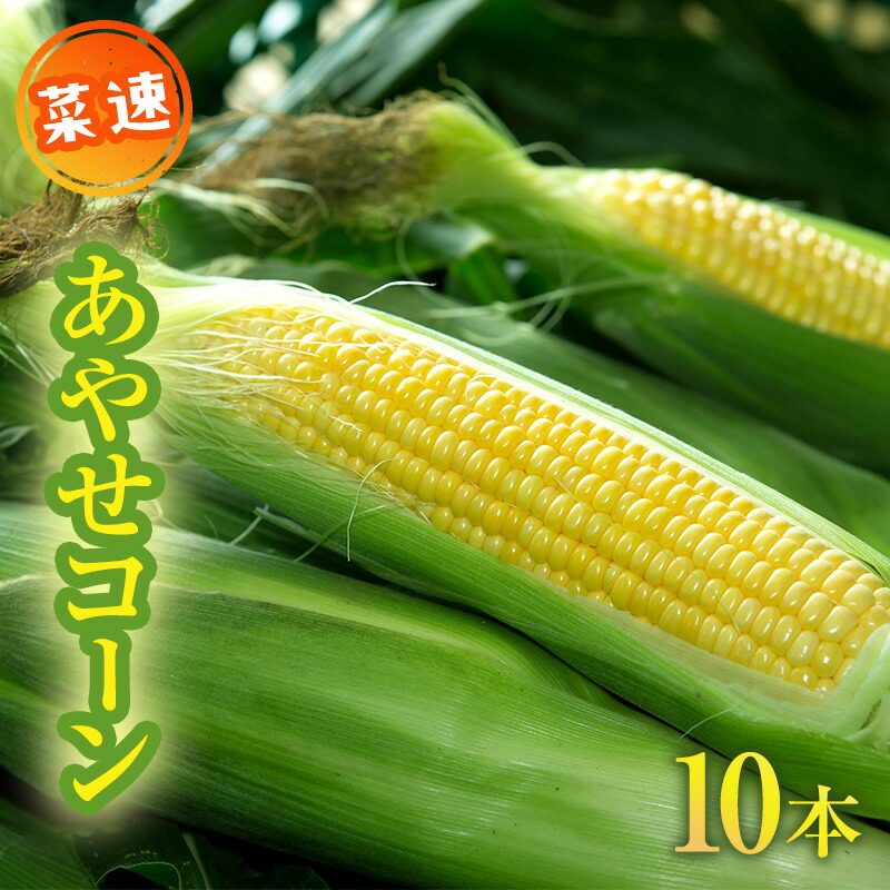 【ふるさと納税】新鮮朝採り「菜速　あやせコーン(登録商標)」 野菜 とうもろこし トウモロコシ 　お届け：2025年6月20日～7月10日